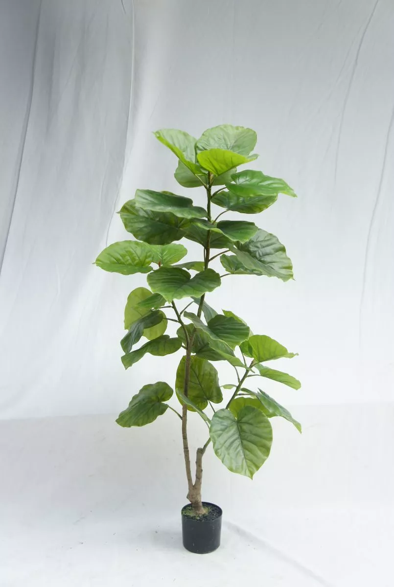 Artificial Plastic Ficus Rumphii, 150 CM